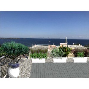 Φωτορεαλιστικά σχέδια για roof garden στη Βούλα